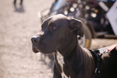 2026-mcr-humpolec-zuzana-horakova