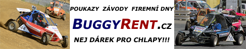 Buggyrent-banner